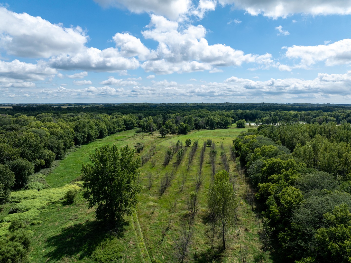 0 Banks Road Erie, IL 61250 - Photo 56 of 71