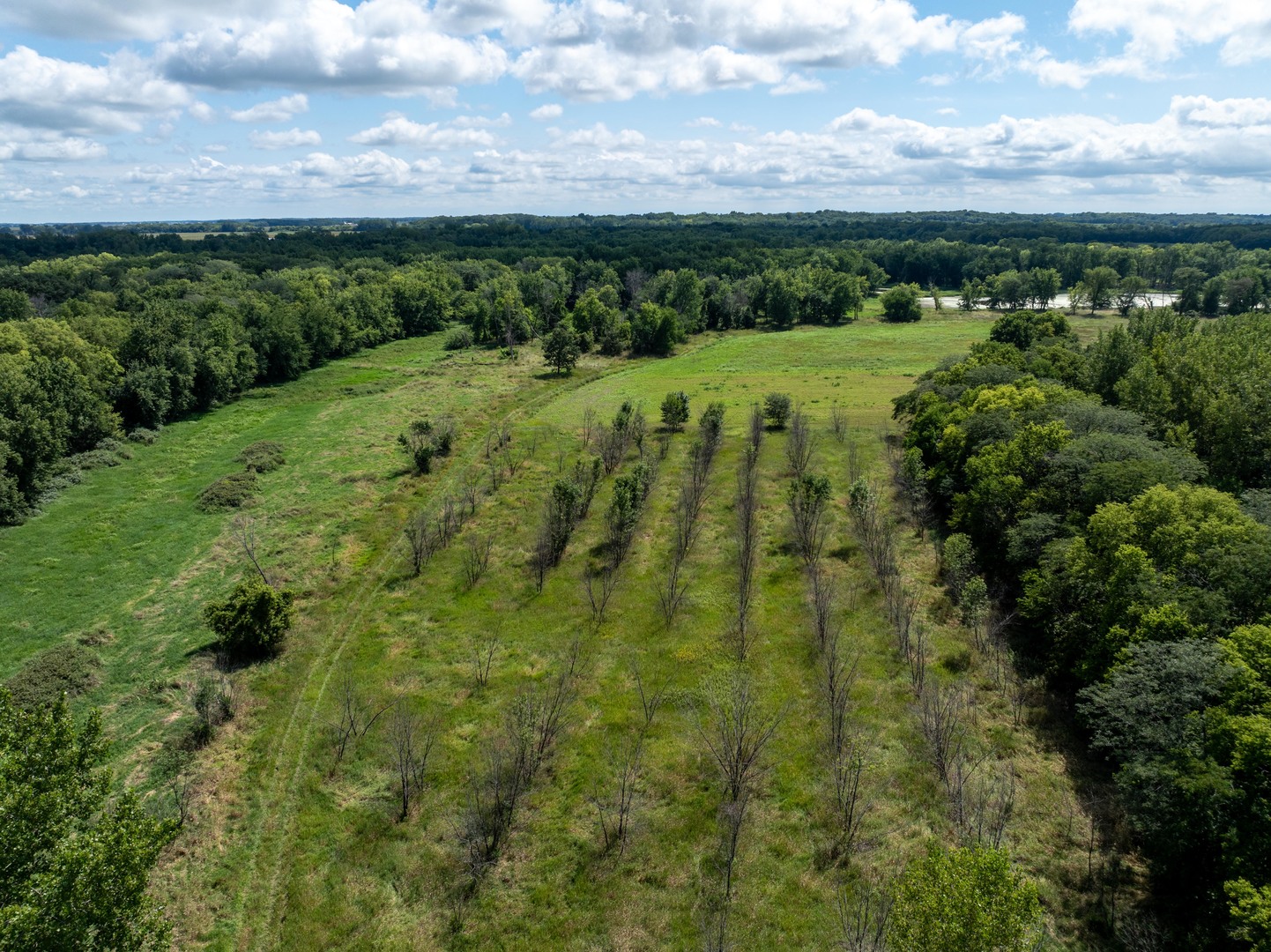 0 Banks Road Erie, IL 61250 - Photo 57 of 71 a view of a lush green field