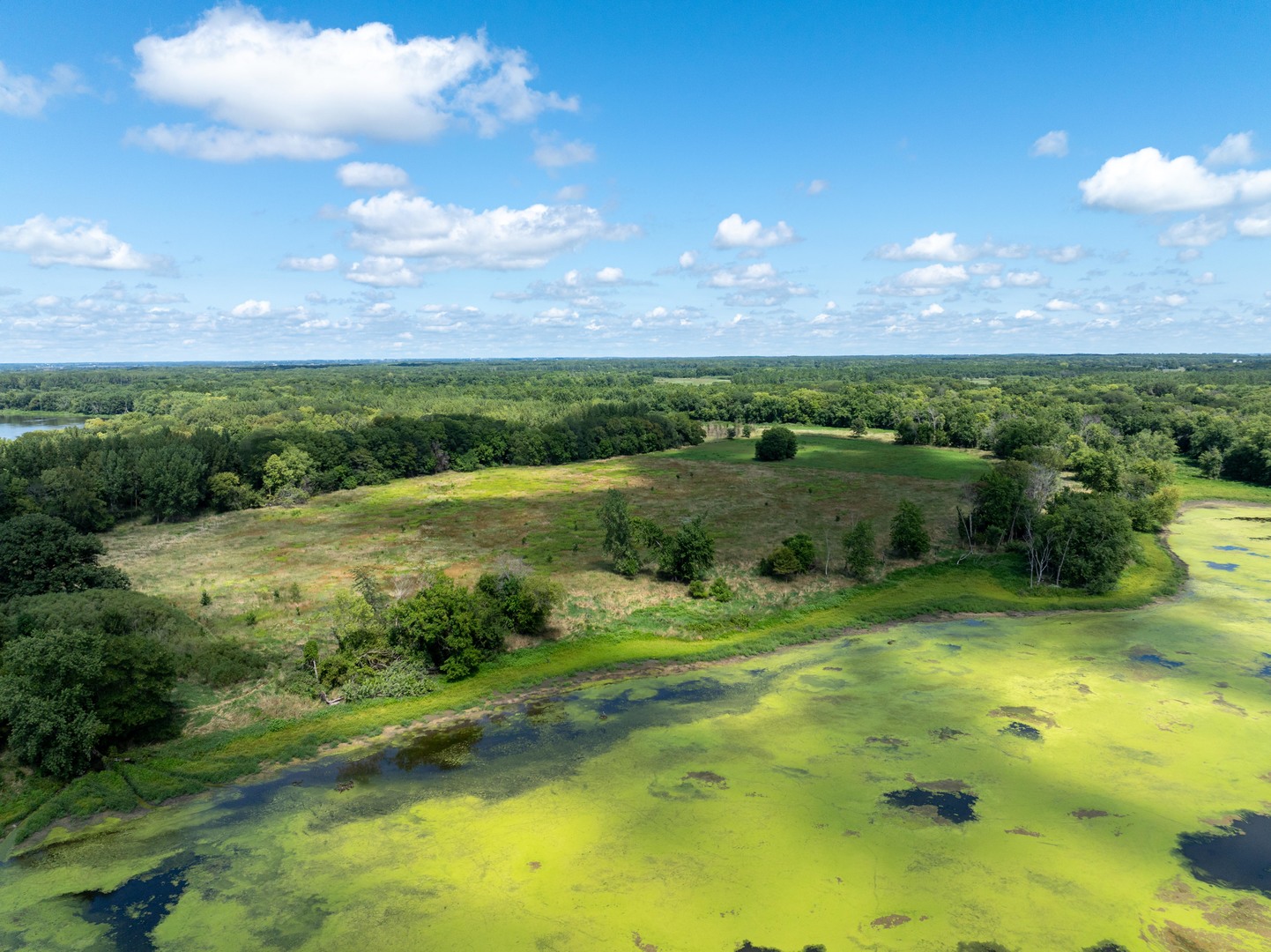 0 Banks Road Erie, IL 61250 - Photo 64 of 71 a view of a garden with a lake