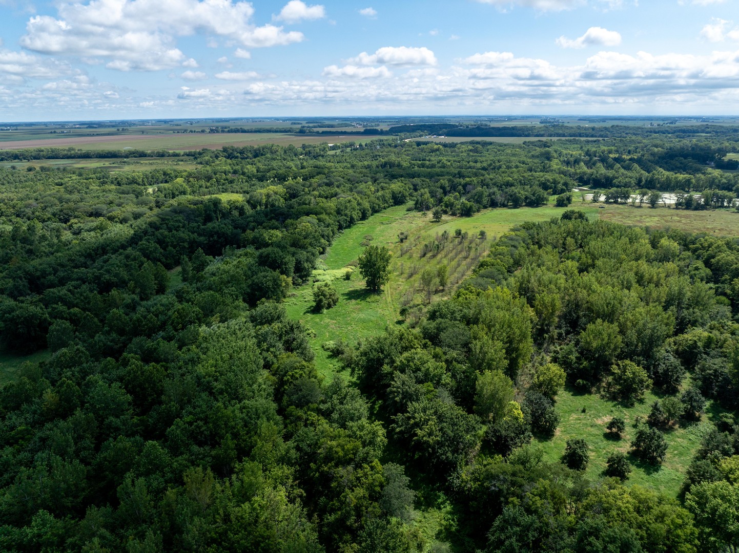 0 Banks Road Erie, IL 61250 - Photo 8 of 71 a view of a green field with lots of trees