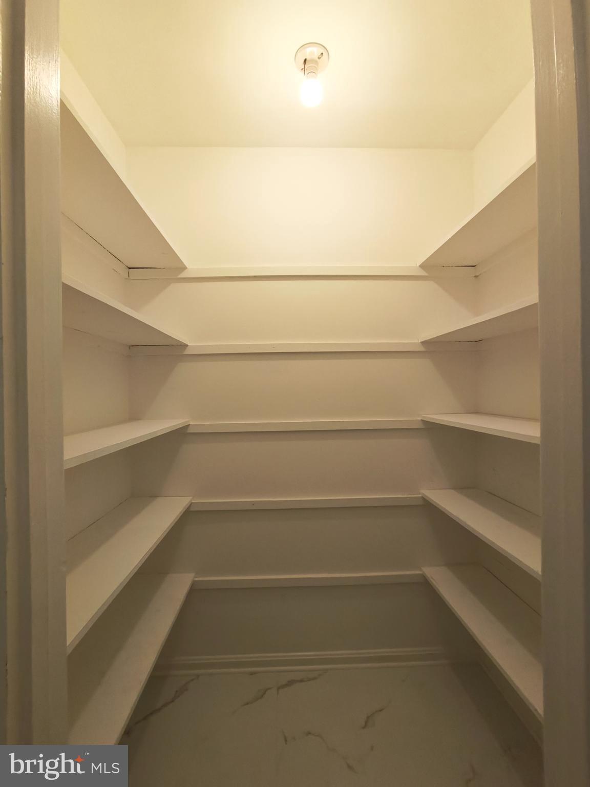 8835 Tuckerman Lane Potomac, MD 20854 - Photo 19 of 46 a view of walk in closet with empty racks