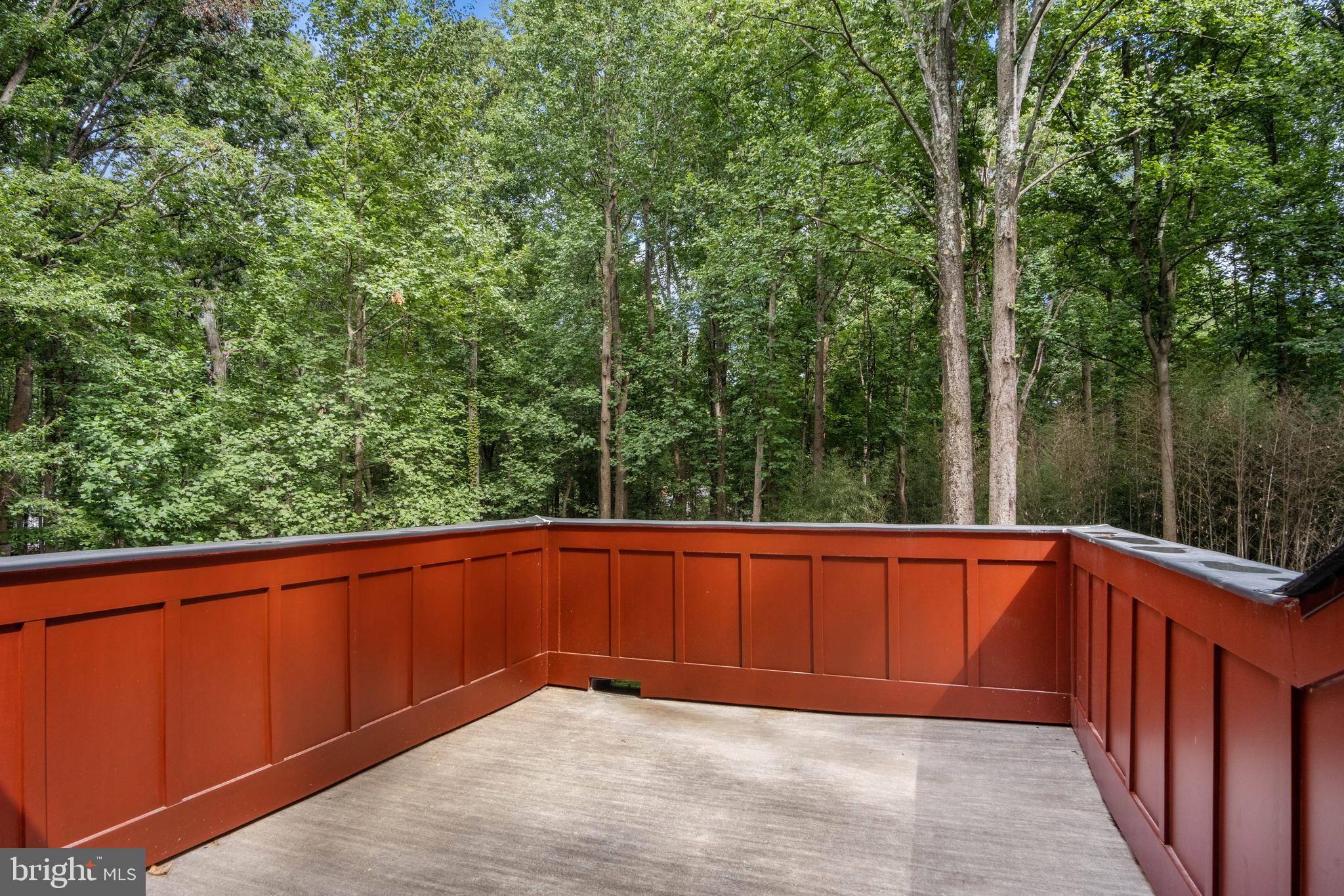 634 Springvale Road Great Falls, VA 22066 - Photo 18 of 67 a view of a backyard