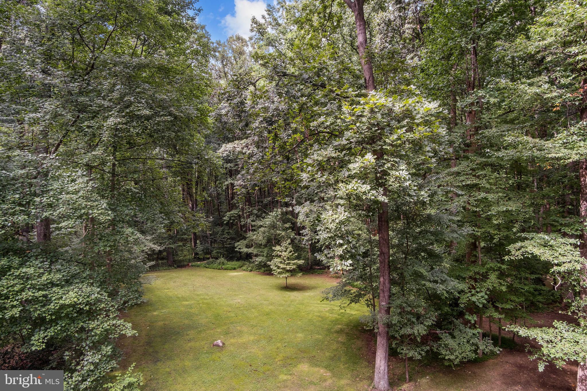 634 Springvale Road Great Falls, VA 22066 - Photo 20 of 67