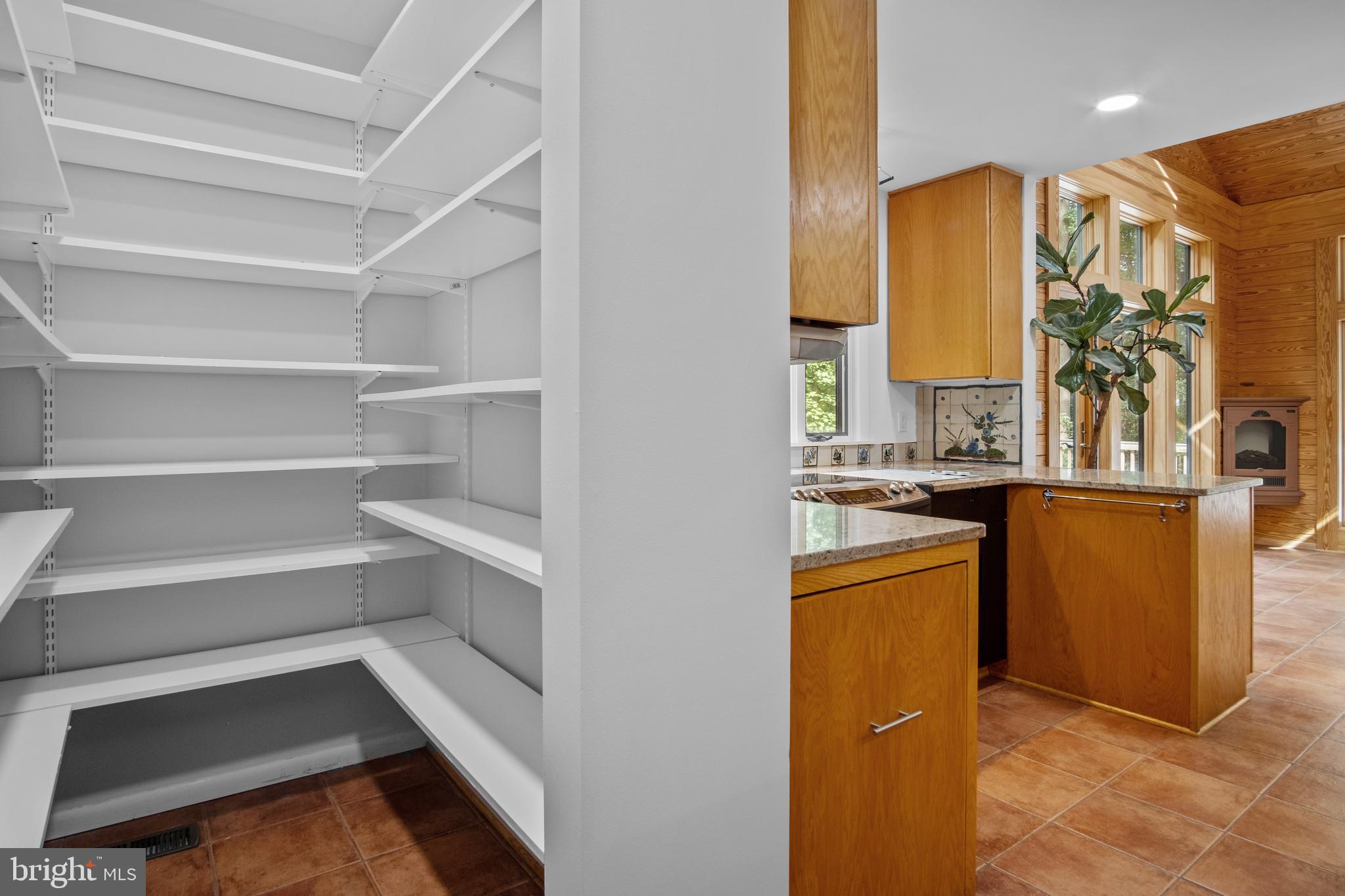 634 Springvale Road Great Falls, VA 22066 - Photo 29 of 67 a view of walk in closet with empty racks