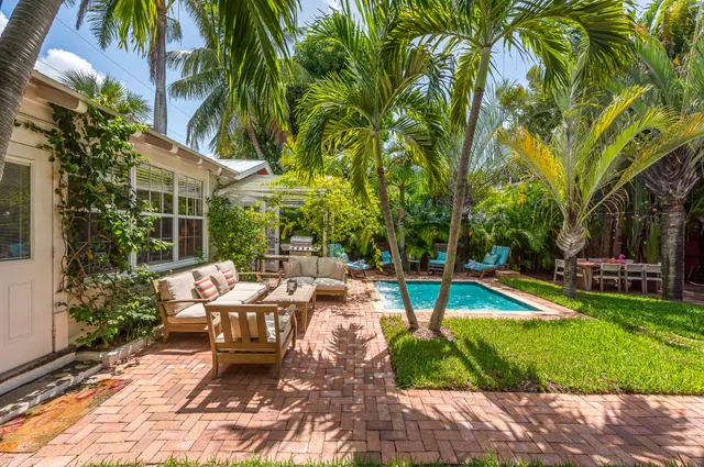 a view of a park with large trees and plants