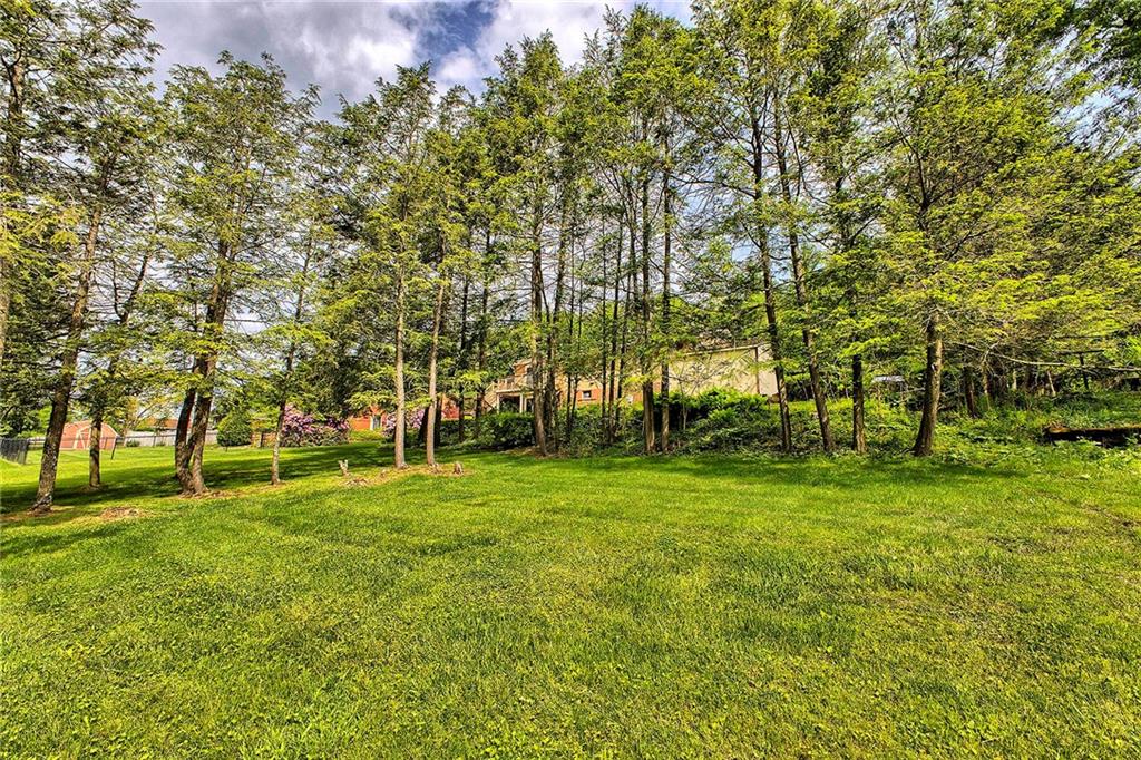 2555 Warren Road Indiana, PA 15701 - Photo 37 of 42 Back yard