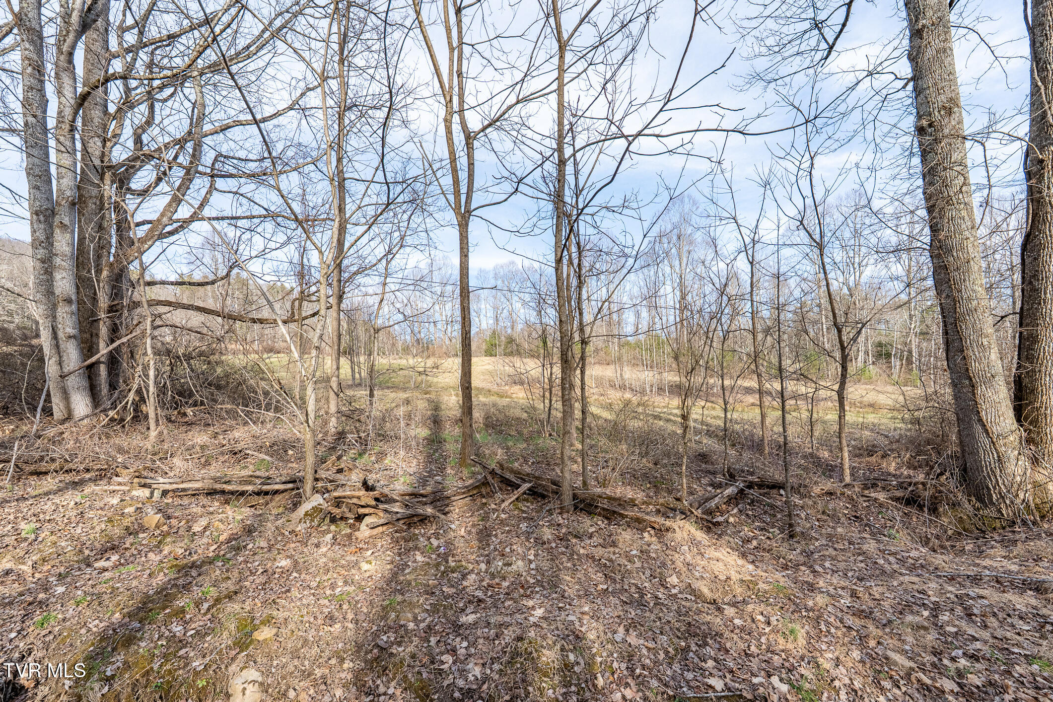 3085 Slabtown Road, Unit TR 2 Mountain City, TN 37683 - Photo 23 of 31 TBD Slabtown Road (16 of 31)