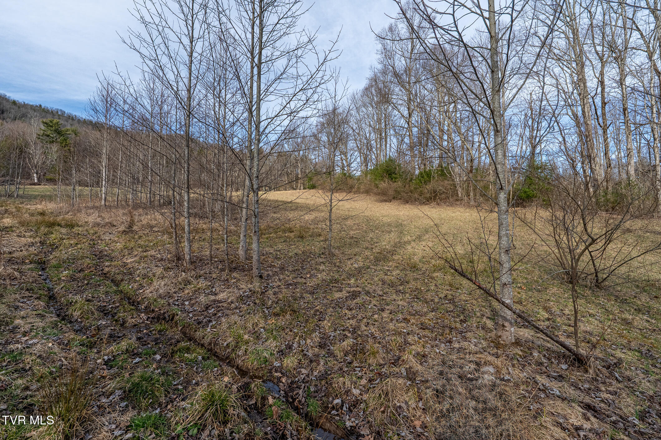 3085 Slabtown Road, Unit TR 2 Mountain City, TN 37683 - Photo 30 of 31 TBD Slabtown Road (30 of 31)