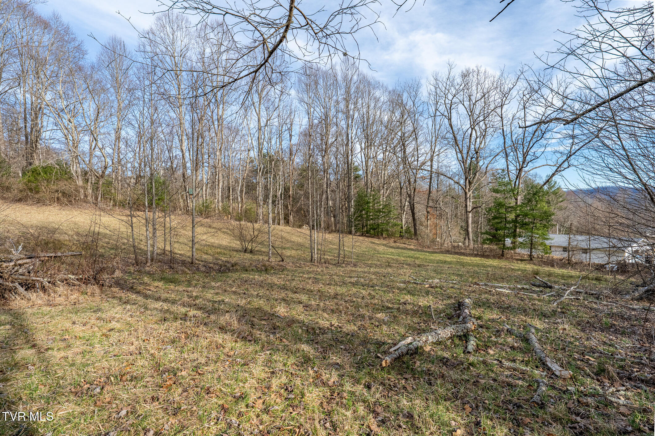 3085 Slabtown Road, Unit TR 2 Mountain City, TN 37683 - Photo 6 of 31 TBD Slabtown Road (19 of 31)