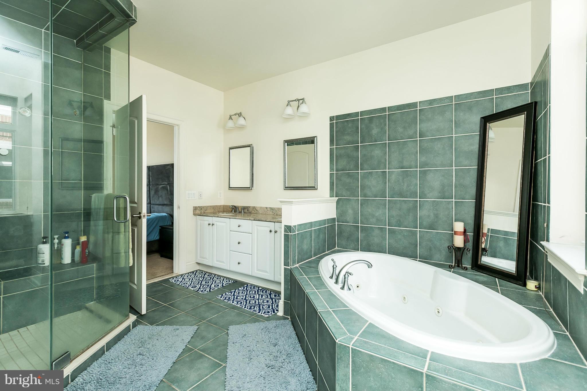 639 Ponte Villas South, Unit 128 Baltimore, MD 21230 - Photo 20 of 46 a bathroom with a bathtub and a shower