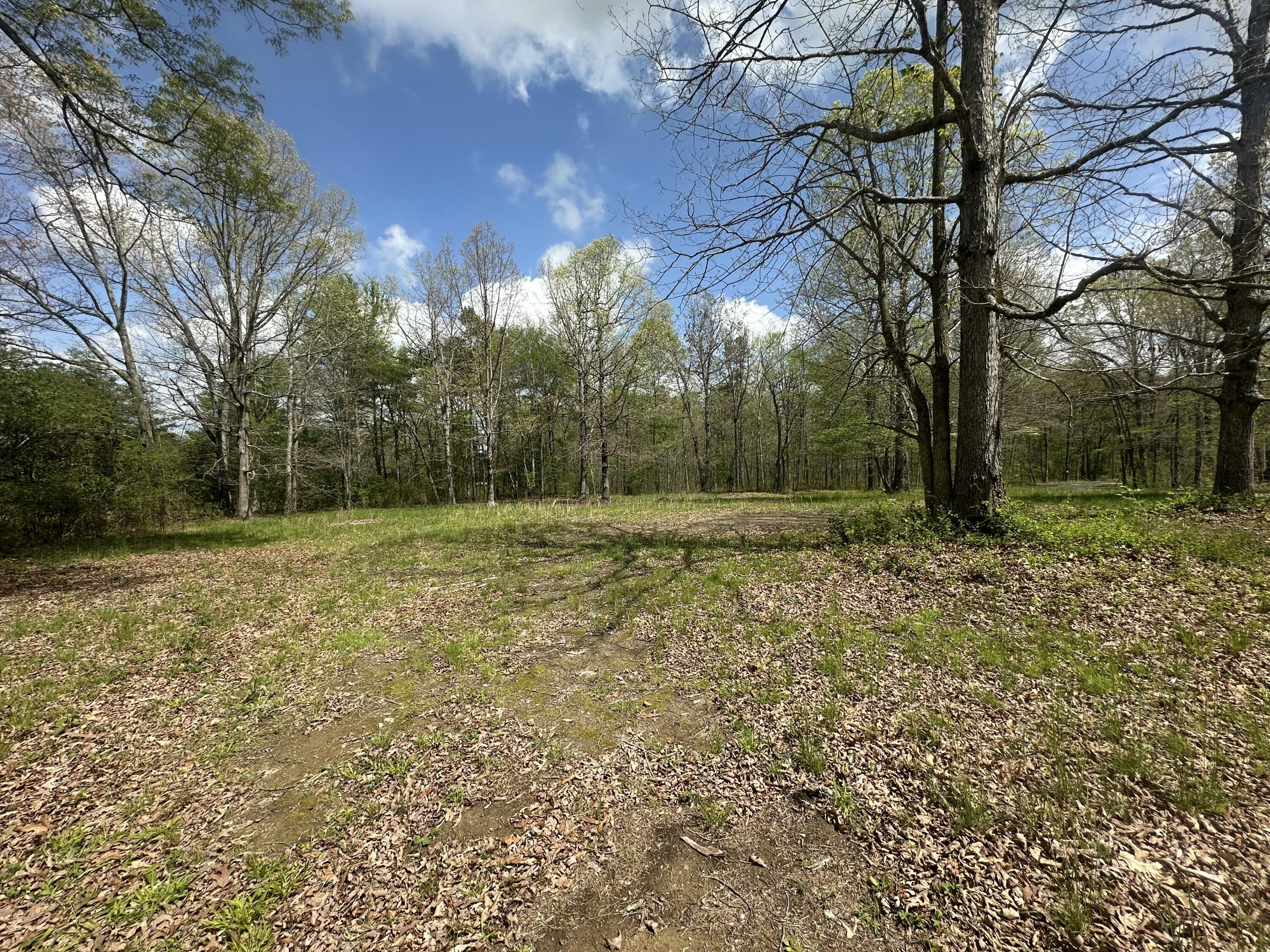 155 Hen House Road Sequatchie, TN 37374 - Photo 3 of 23 IMG_5251