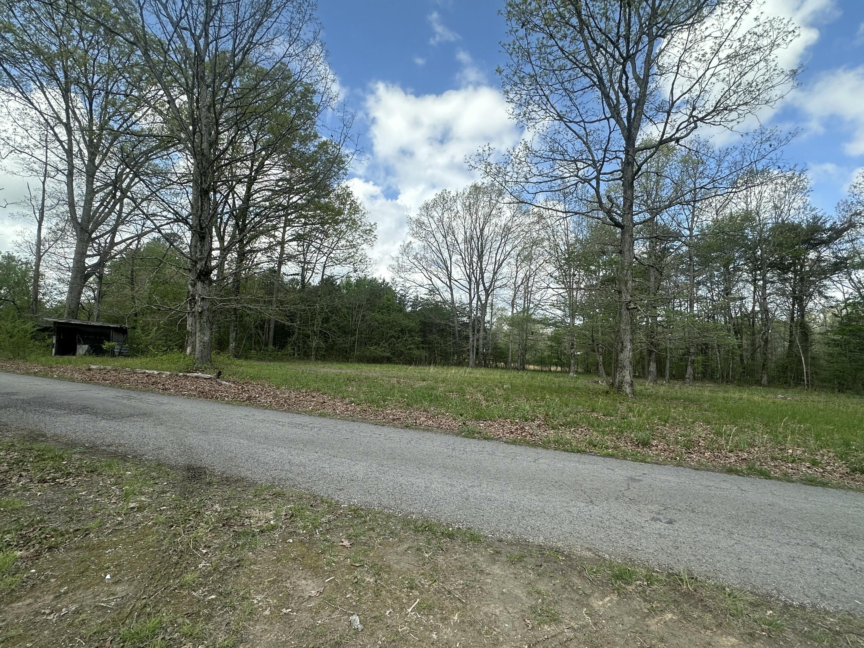 155 Hen House Road Sequatchie, TN 37374 - Photo 4 of 23 IMG_5243