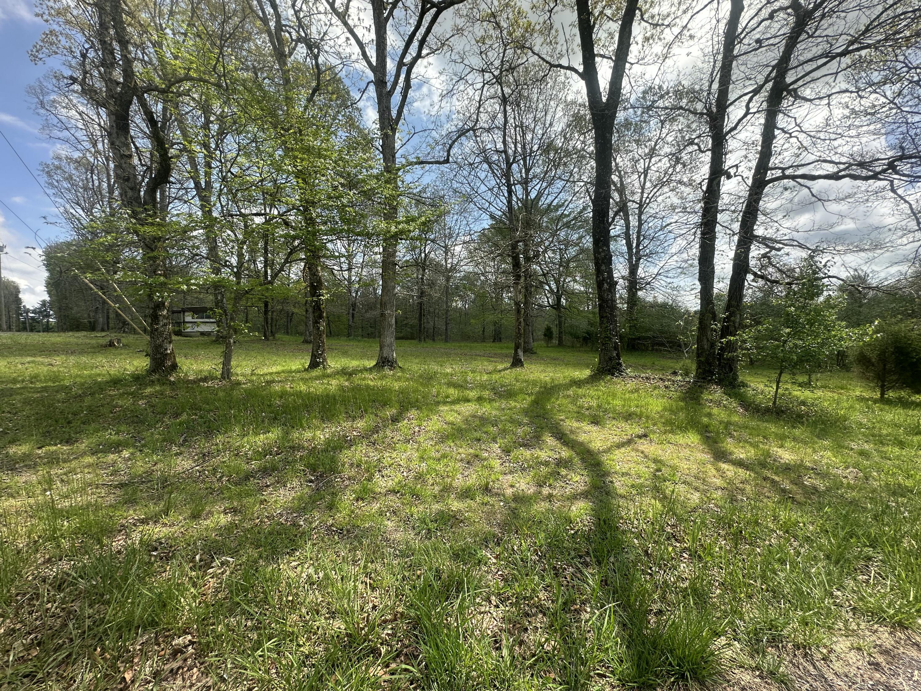 155 Hen House Road Sequatchie, TN 37374 - Photo 5 of 23 IMG_5260