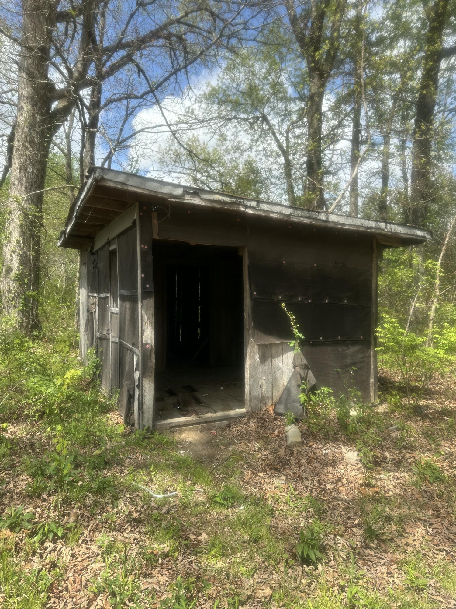 155 Hen House Road Sequatchie, TN 37374 - Photo 6 of 23 IMG_5248