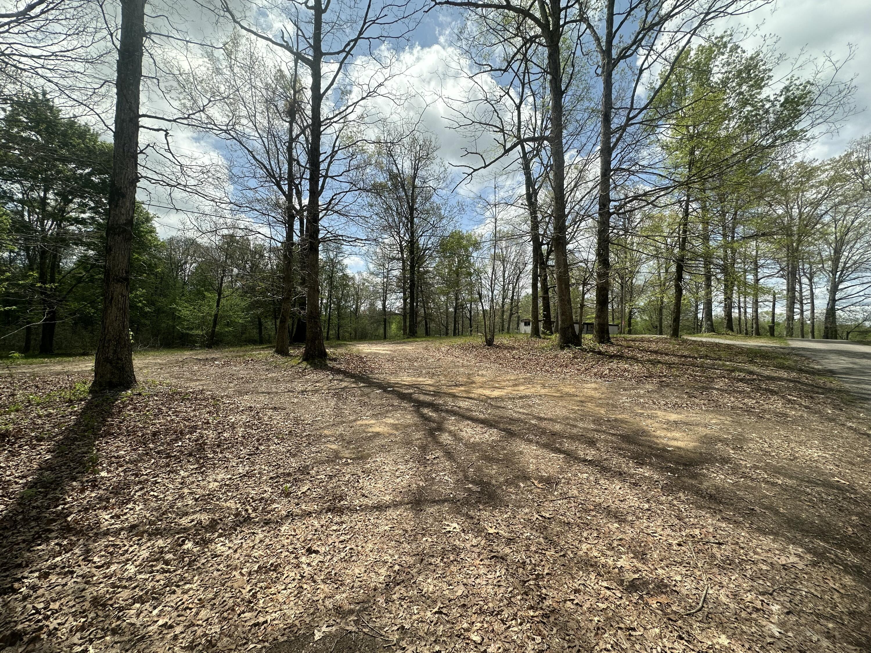 155 Hen House Road Sequatchie, TN 37374 - Photo 7 of 23 IMG_5263