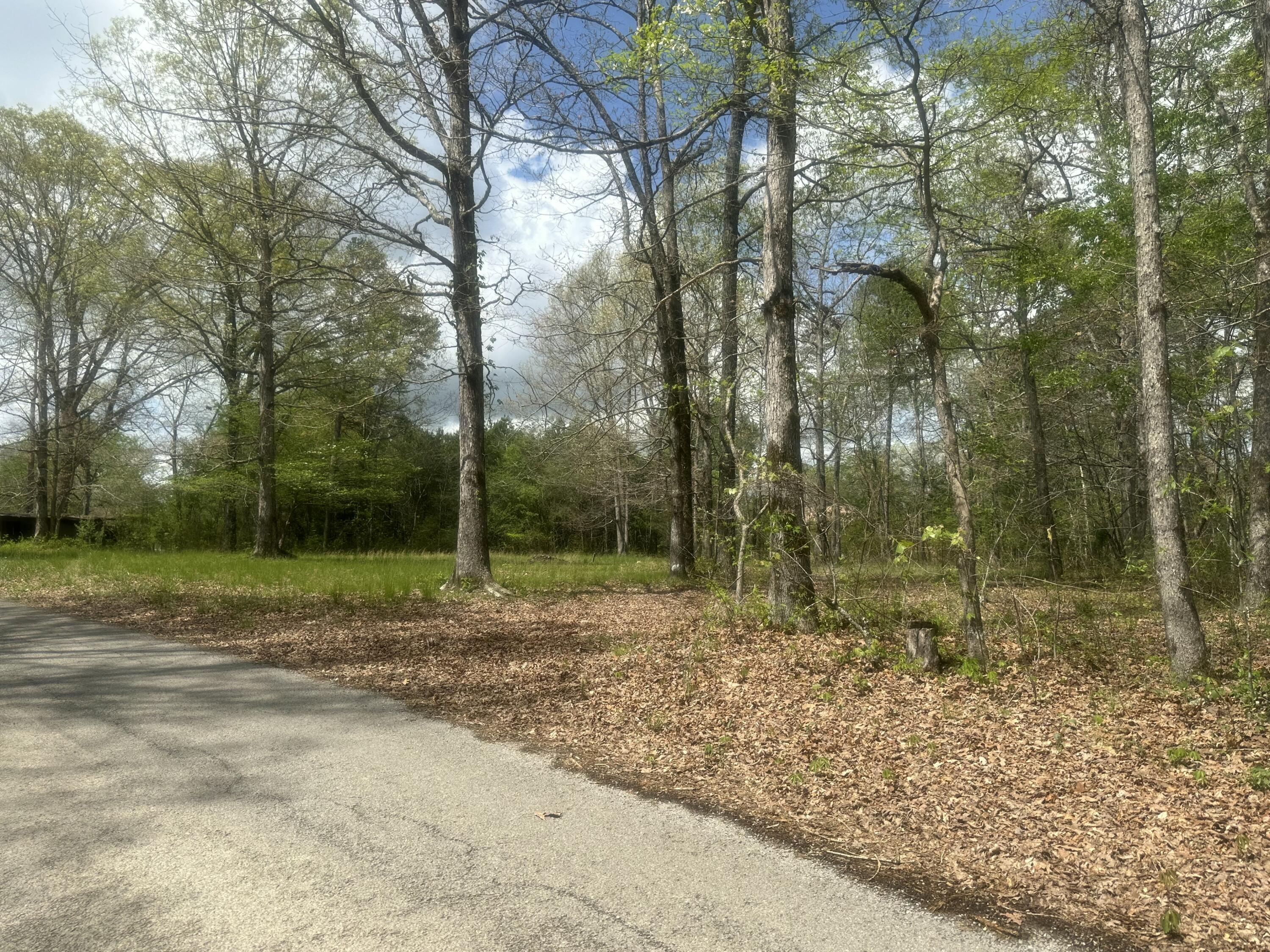 155 Hen House Road Sequatchie, TN 37374 - Photo 8 of 23 IMG_5265