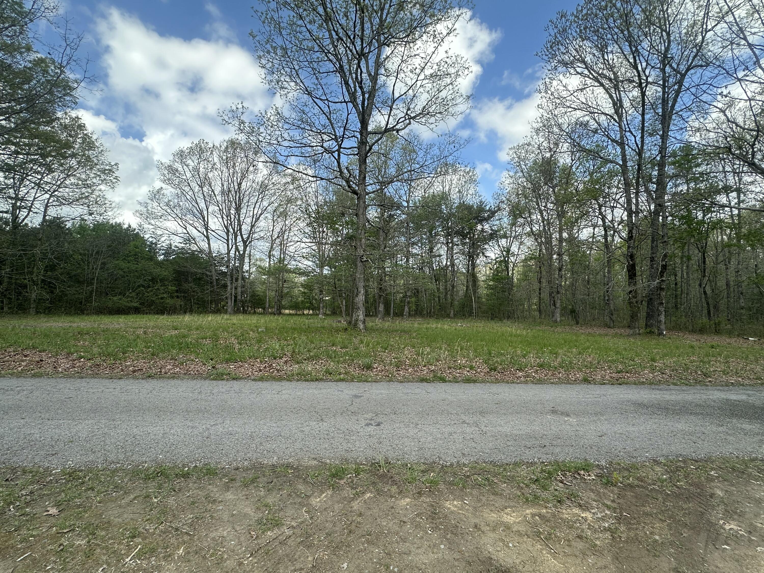 155 Hen House Road Sequatchie, TN 37374 - Photo 9 of 23 IMG_5242