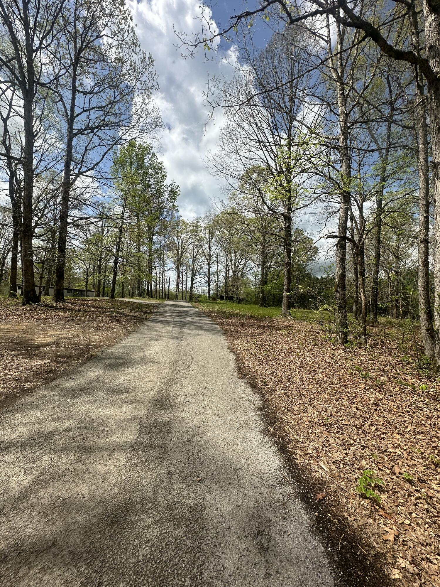 155 Hen House Road Sequatchie, TN 37374 - Photo 10 of 23 IMG_5262