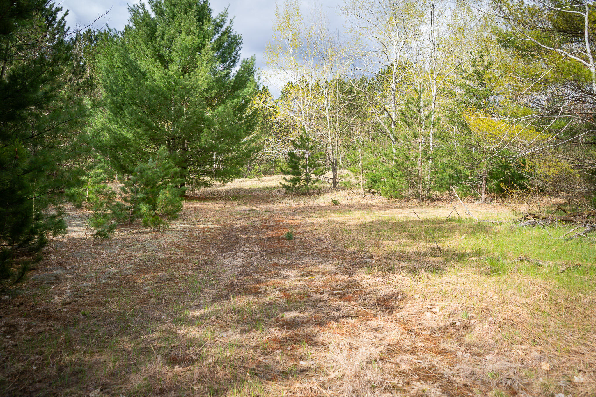 V/l Hudson Road Southwest South Boardman, MI 49680 - Photo 28 of 34 DSC08230