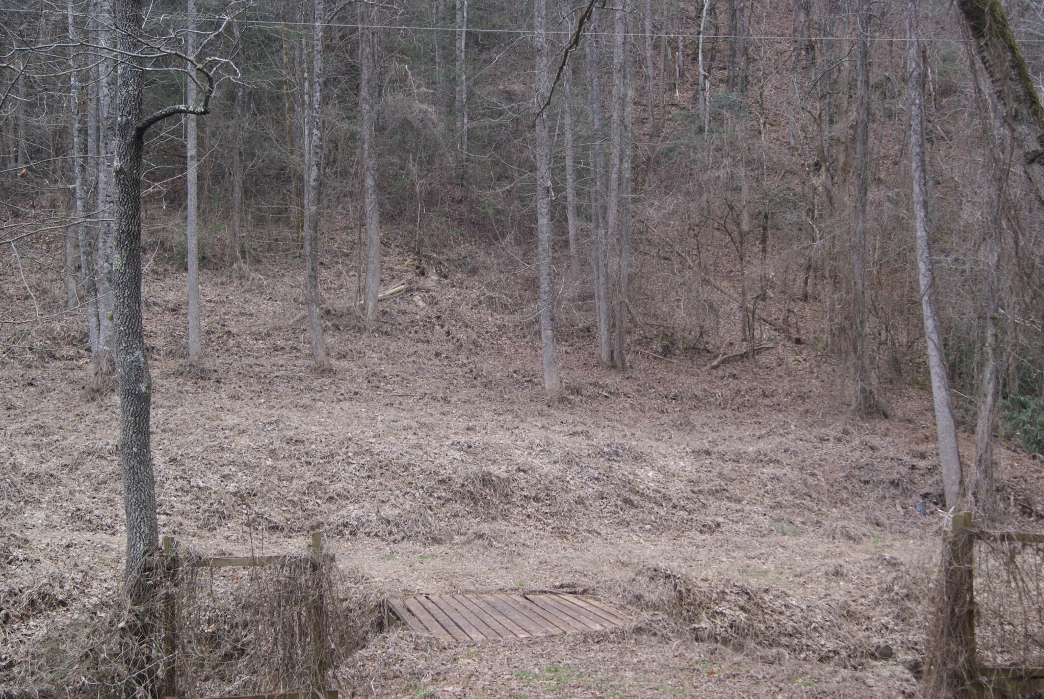3910 Wilhite Road Sevierville, TN 37876 - Photo 1 of 11 Gallery Image 1