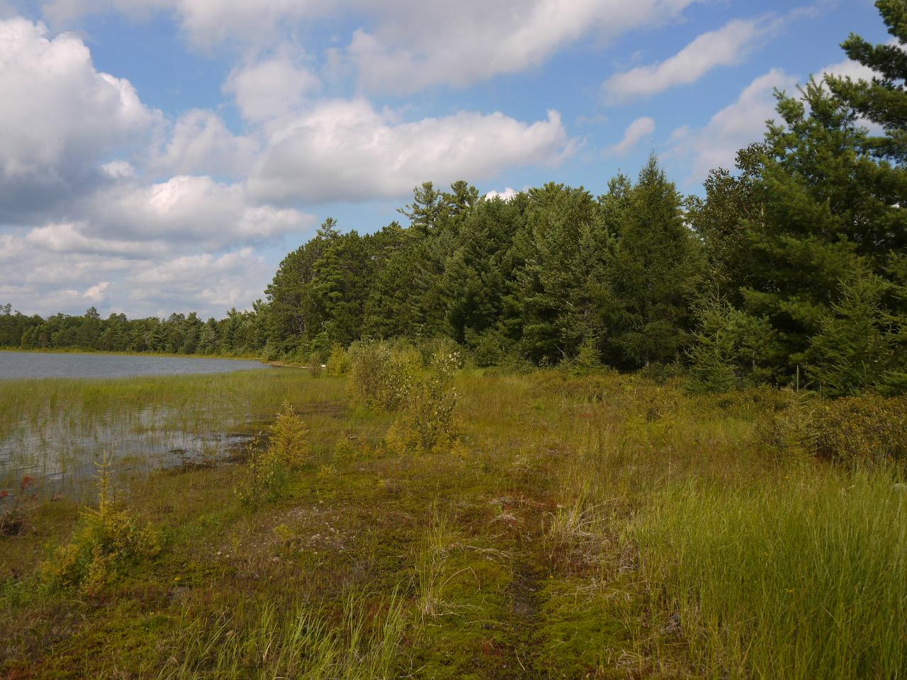 Near Oak Lane Eagle River, WI 54521 - Photo 22 of 28 Gallery Image 22