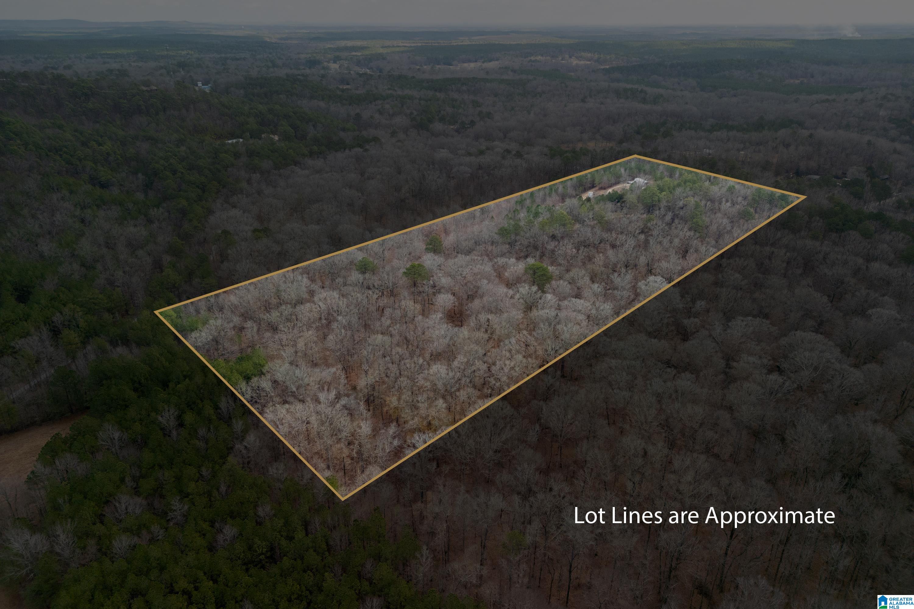 2885 Highway 26 Alabaster Al Alabaster, AL 35007 - Photo 33 of 43