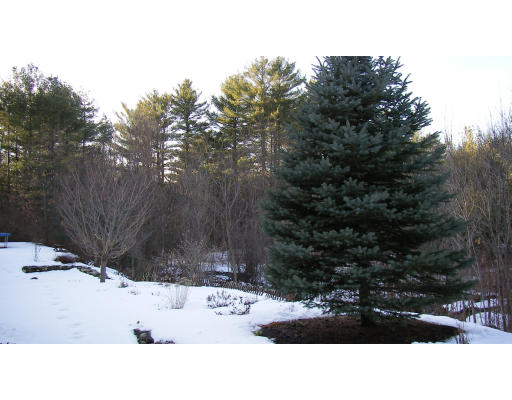 243 Princeton Road Sterling, MA 01564 - Photo 4 of 8