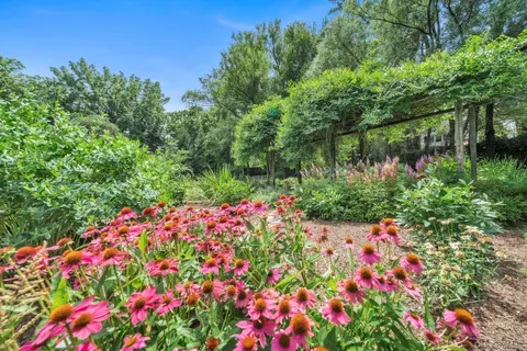 a picture of flowers