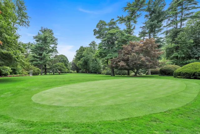 a view of a trees with a yard