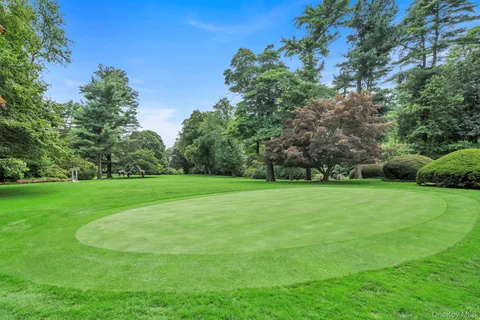 a view of a field of grass and trees