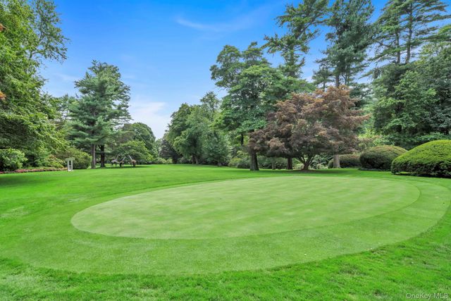 a view of a field of grass and trees