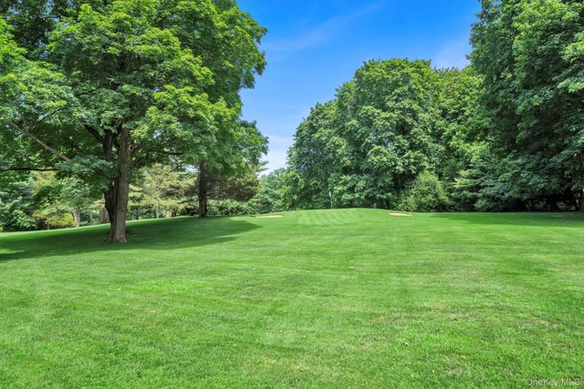 a view of a trees with a yard