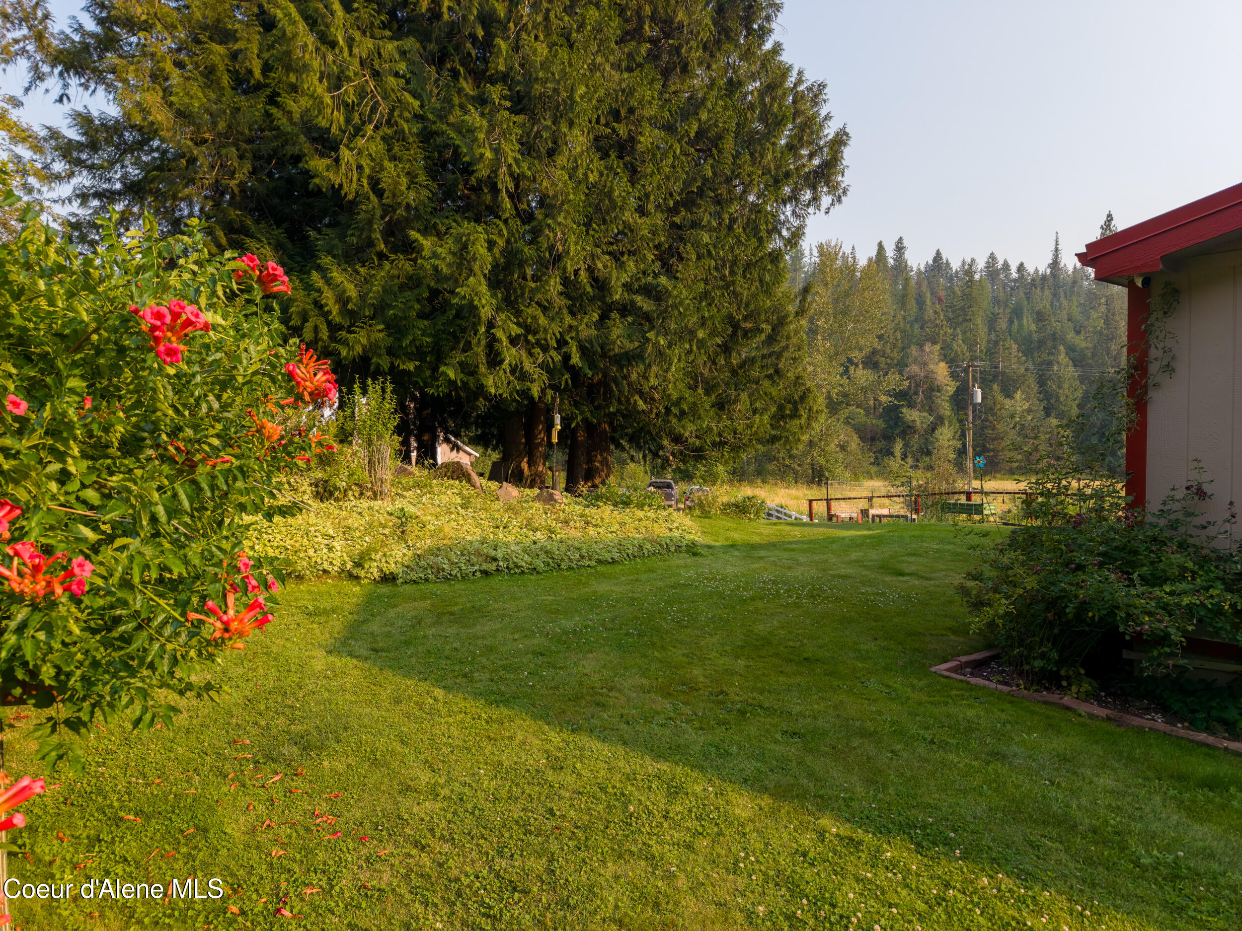 134 Deep Creek Road St. Maries, ID 83861 - Photo 56 of 62 Beautiful Yard and Flowers