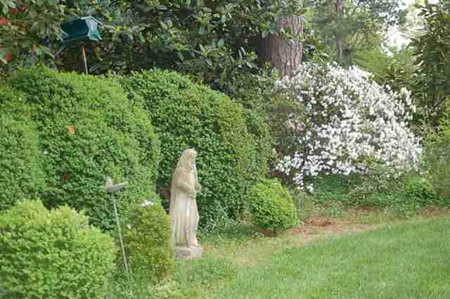 1111 Parkins Mill Road Greenville, SC 29607 - Photo 13 of 17