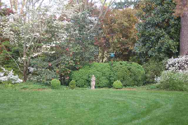 1111 Parkins Mill Road Greenville, SC 29607 - Photo 14 of 17