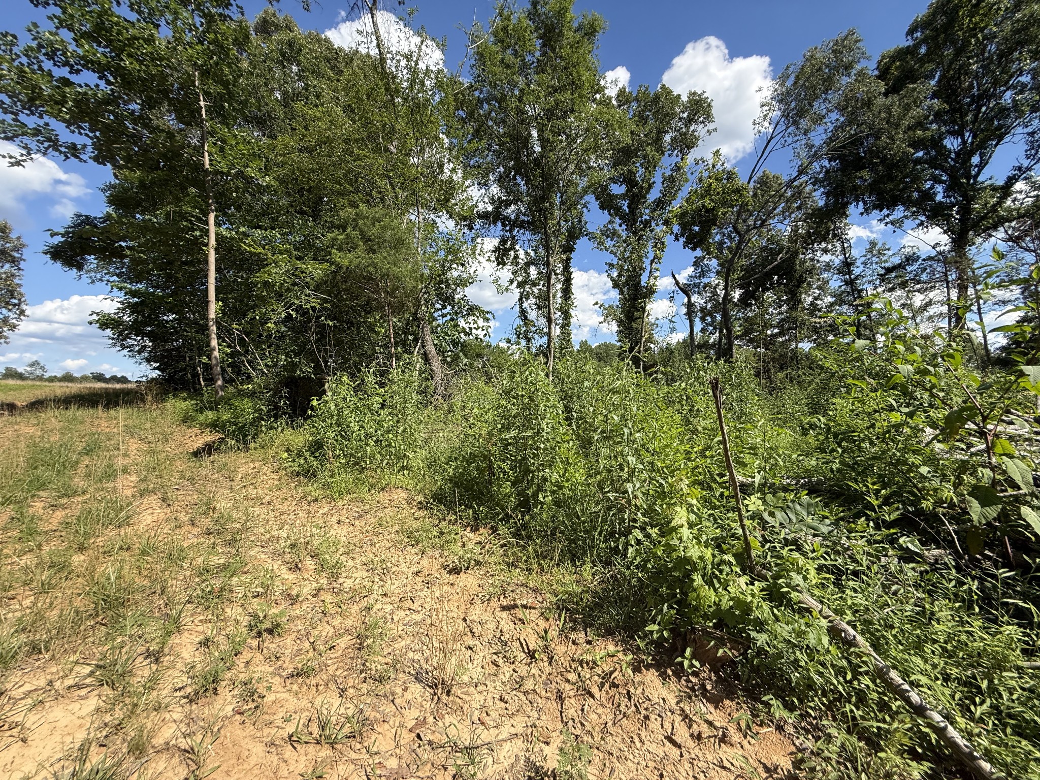 2333 Shady Grove Road McKenzie, TN 38201 - Photo 49 of 72