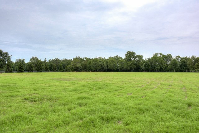 1654 A Shaws Fork Road Aiken, SC 29805 - Photo 4 of 46