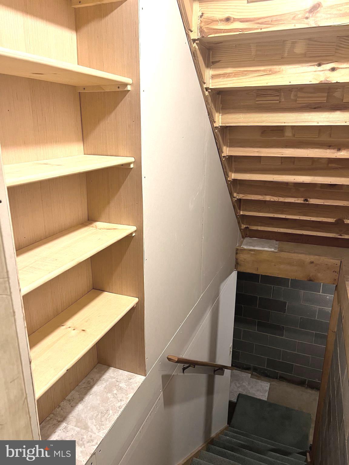 7270 Mackall Road St. Leonard, MD 20685 - Photo 33 of 48 Under the stairs to basement storage