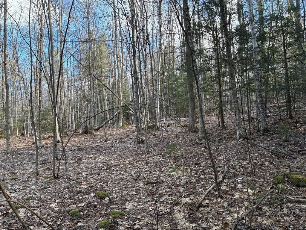2 Leshures Road Rowe, MA 01367 - Photo 3 of 14
