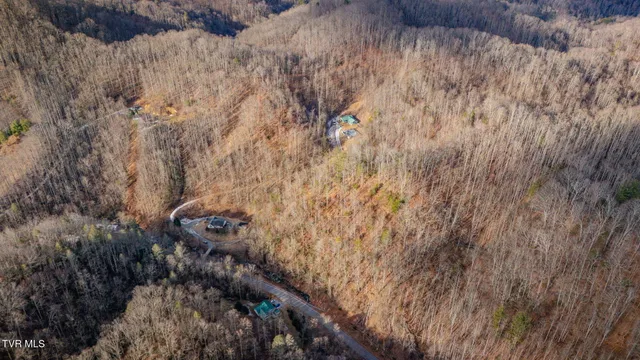 $10,000 | 228 Tiger Creek Road, Roan Mountain, TN 37687