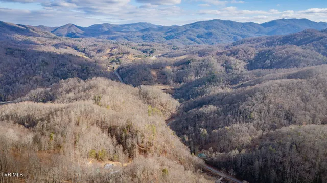 $10,000 | 228 Tiger Creek Road, Roan Mountain, TN 37687