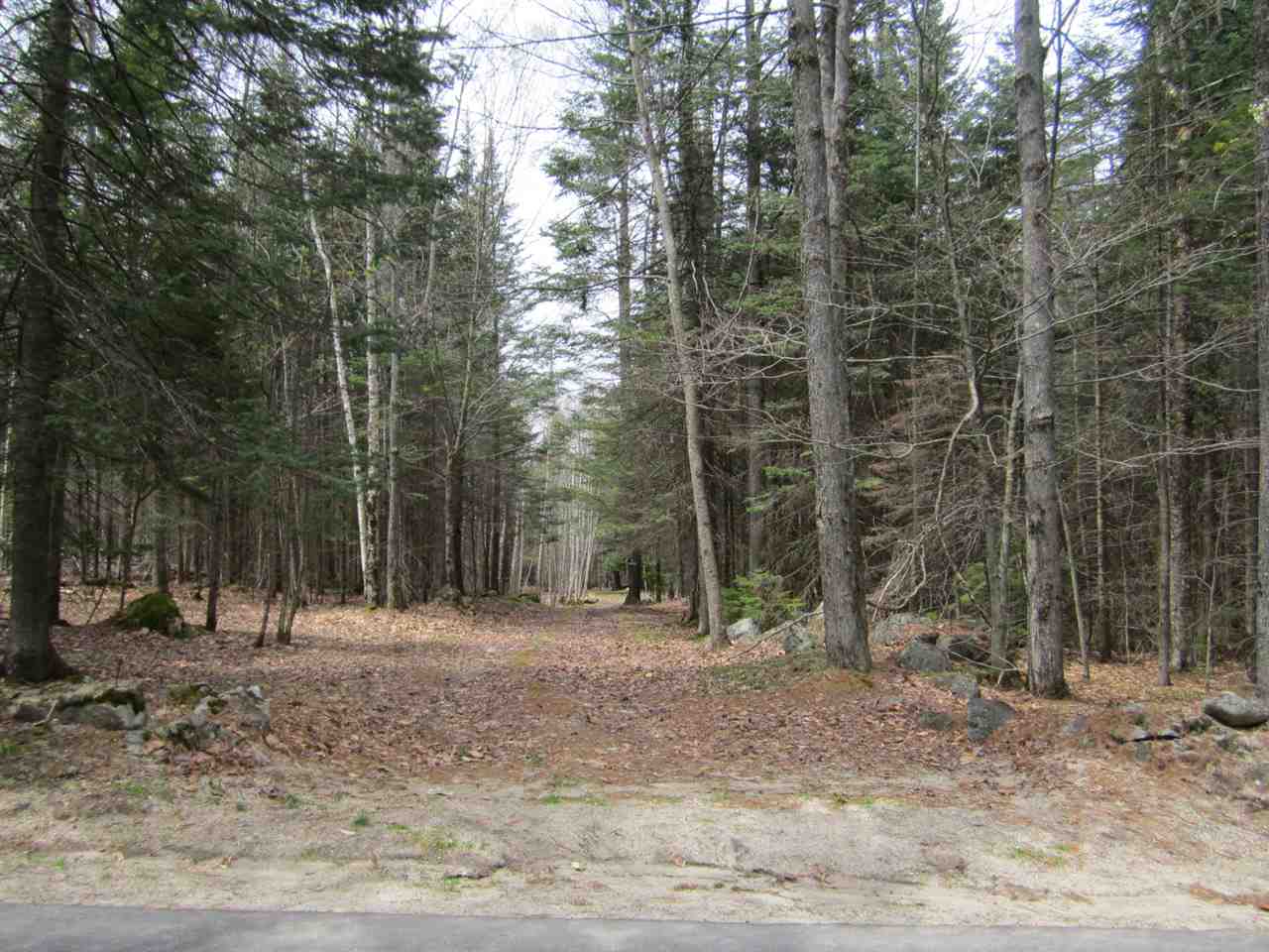 Bowman Road Springfield, NH 03284 - Photo 5 of 10