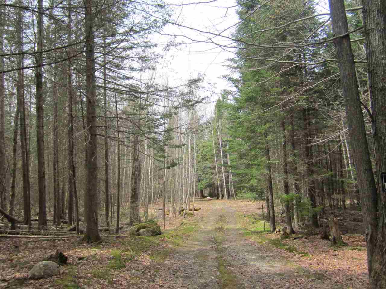 Bowman Road Springfield, NH 03284 - Photo 6 of 10