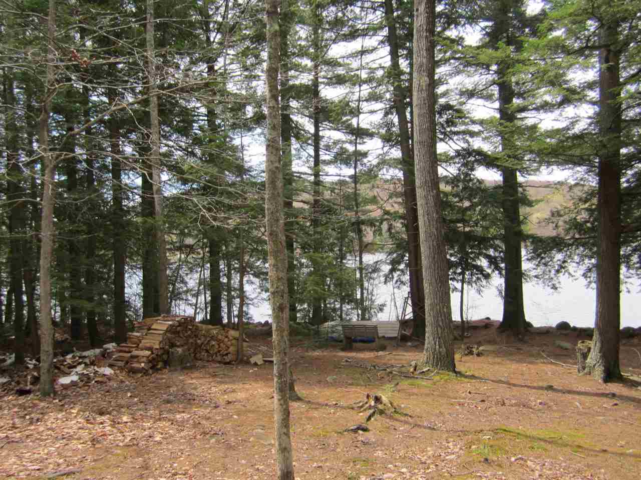 Bowman Road Springfield, NH 03284 - Photo 10 of 10