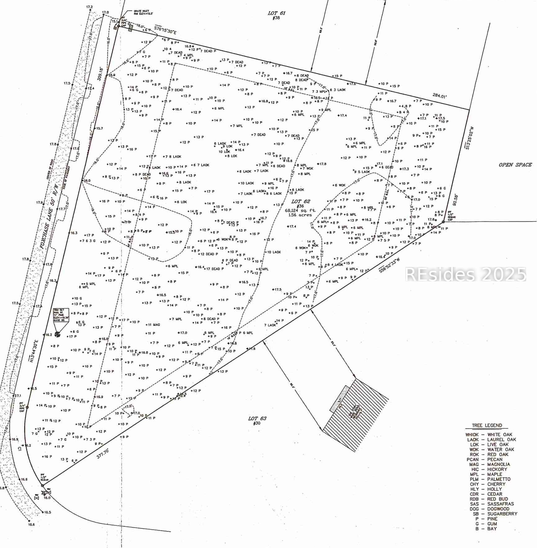 36 Foxchase Lane Bluffton, SC 29910 - Photo 6 of 38