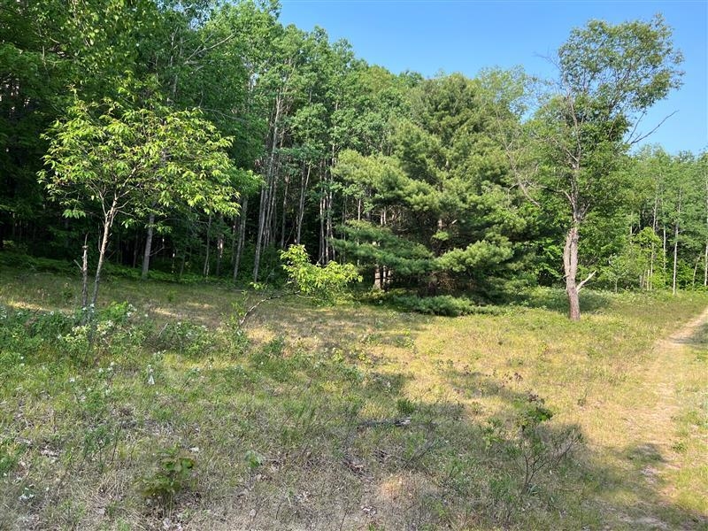 47 South 47 3/4 Road Cadillac, MI 49601 - Photo 36 of 59