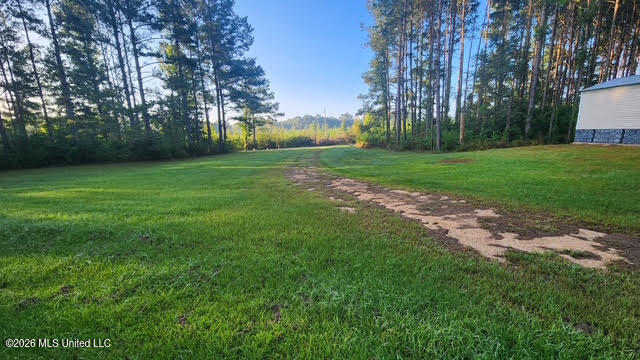 143 New River Road Tylertown, MS 39667 - Photo 25 of 26 8