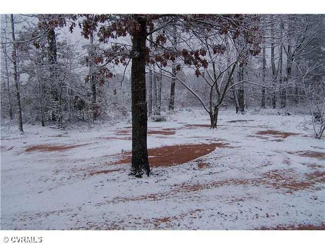 2278 Old Poole Road Alberta, VA 23821 - Photo 9 of 12 Gallery Image 9