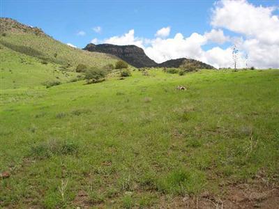 0 Pinery Canyon Road Willcox, AZ 85643 - Photo 1 of 7