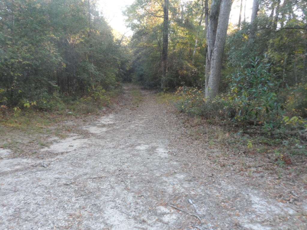 900 Phoebe Road Quincy, FL 32351 - Photo 13 of 14 Gallery Image 13